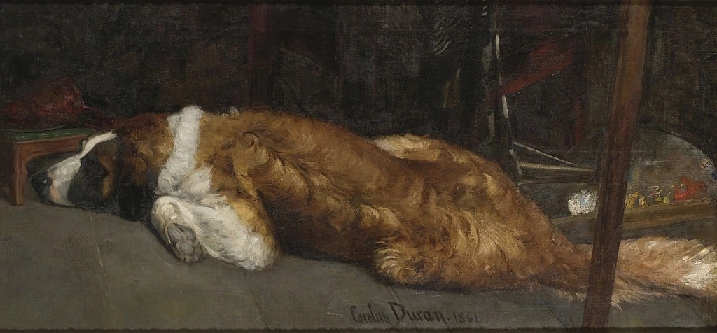 Il cane